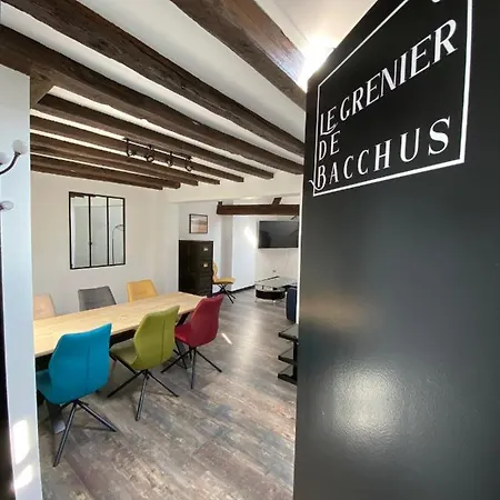 La Propriete De Bacchus Apartment Saumur