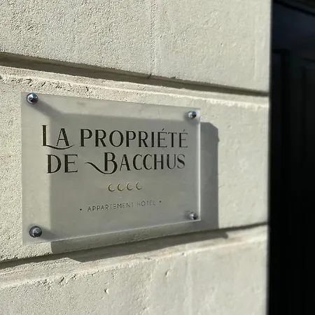 La Propriete De Bacchus Apartment Saumur