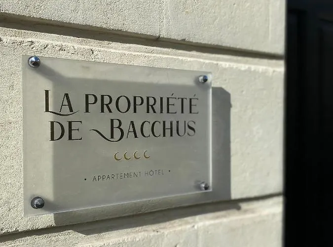 La Propriete De Bacchus Apartment Saumur