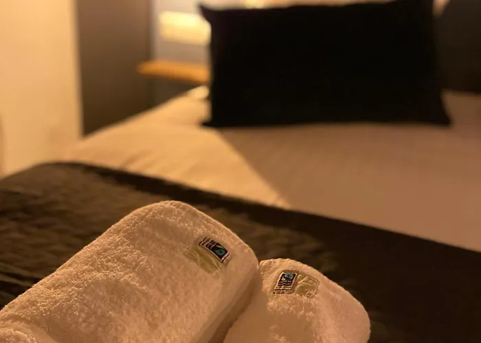 La Propriete De Bacchus Apartment Saumur